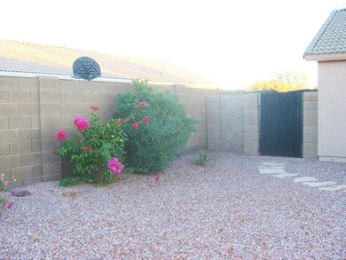 Easy Care Landscape