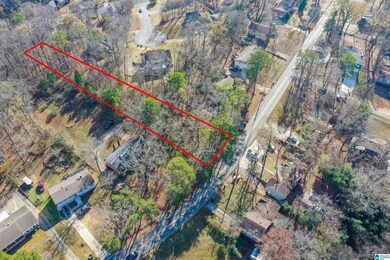 1409 Pine Tree Dr, Birmingham, AL 35235 - photo 4