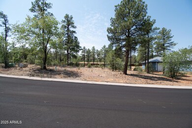 381 E Huckleberry Ln unit 4, Show Low, AZ 85901 - photo 3