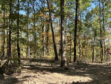 0 Highway 232 unit 128207, Stewart, TN 37175 - photo 7