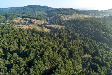 DJI_0109-2-HDR-RMLS