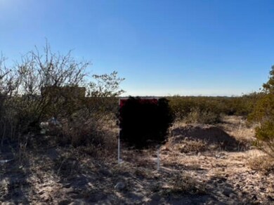 529 Ascencion St, El Paso, TX 79928 - photo 2