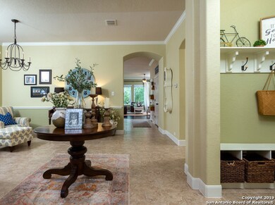 10630 Larch Grove Ct, Helotes, TX 78023 - photo 3