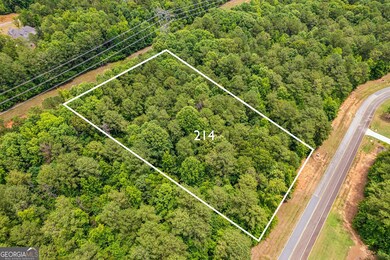 214 Crescent Dr, Forsyth, GA 31029 - photo 3