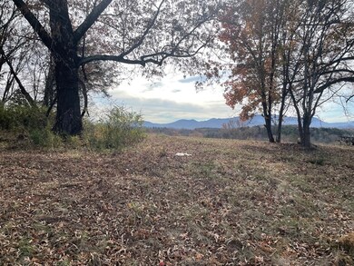 0 Quiet Cove Way Lot 46, Dandridge, TN 37725 - photo 4