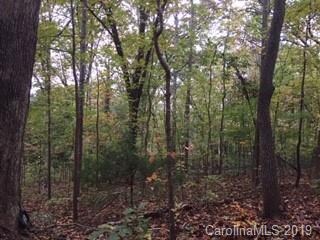 Picture taken from driveway easement.