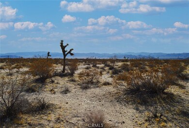 6130 La Brisa Dr, Joshua Tree, CA - photo 6