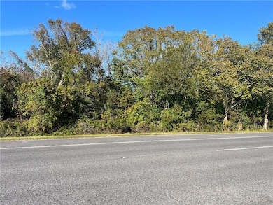 Lot 21 C-2 Louisiana 46, St. Bernard, LA 70085 - photo 2