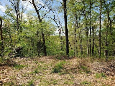 12 Otley Ln, Bella Vista, AR 72714 - photo 5