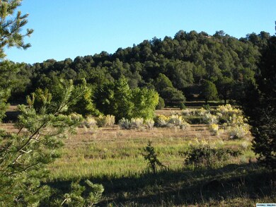 XX Linda Dr, Silver City, NM 88061 - photo 6