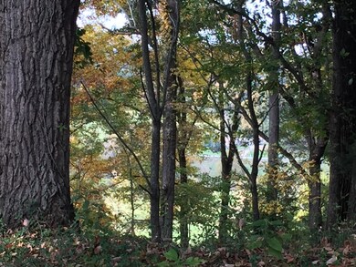 IMG_8438