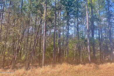 1.5 Acres Barton Agricola, Lucedale, MS 39452 - photo 3