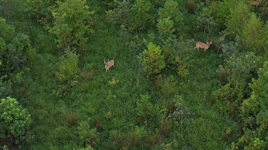 0 Hwy 95 unit 24516955, Morrilton, AR 72110 - photo 7