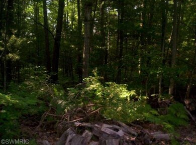 8508 1st Ave, Bitely, MI 49309 - photo 3