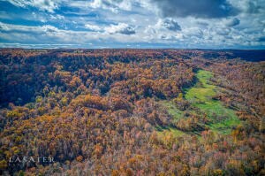 0 Terrapin Rd S, Harrison, AR 72601 - photo 6