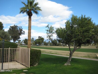 Front Porch View
