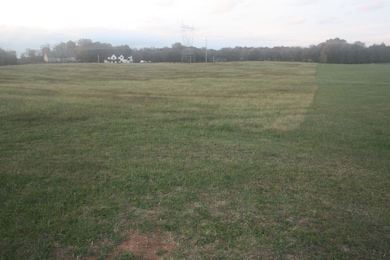 Several nice homes in the area.