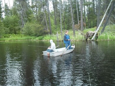 432 Quartz Rd, Newport, WA 99156 - photo 5