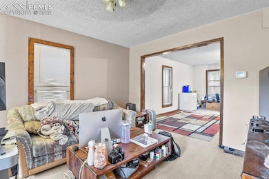 Living area with carpet and a textured ceiling