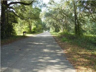 LOT 8 Chellie Rd, Pensacola, FL 32526 - photo 7