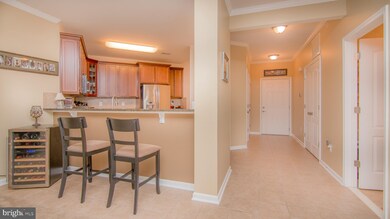 24636 Woolly Mammoth Terrace unit 407, Aldie, VA 20105 - photo 7