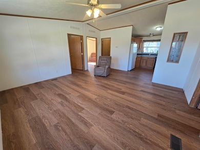 316 S Orange Ave, Lincoln, KS 67455 - photo 2