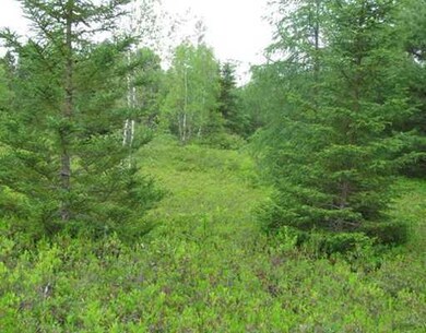 Land.