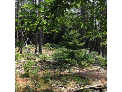 0 Empire, Poland, ME 04274 - photo 6