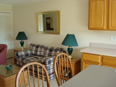 292 Moss Oak Cir unit 292, St. Simons Island, GA 31522 - photo 5