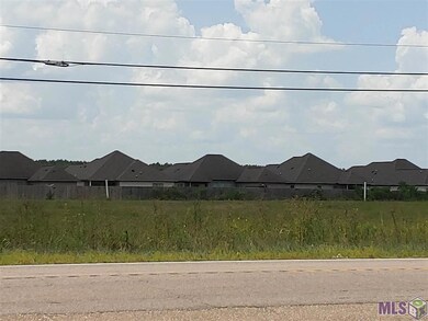 28251 S Frost Rd, Livingston, LA 70754 - photo 2