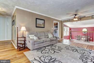 41 Greenmeadow Dr, Lutherville Timonium, MD 21093 - photo 3