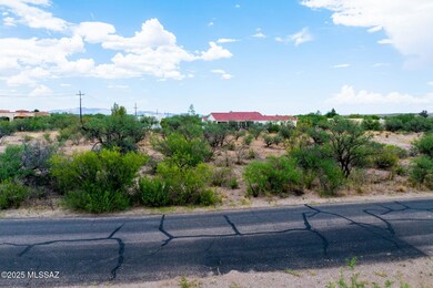TBD Circulo de Anza unit 97, Tubac, AZ 85646 - photo 5