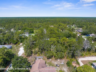 DJI_20250516105410_0265_D