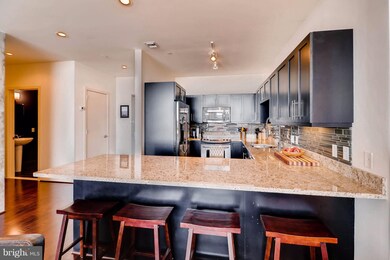 Silo Point unit 1017, Baltimore, MD 21230 - photo 4