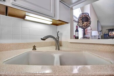 1206 Woodmeadow, Lansing, MI 48917 - photo 6