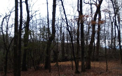 Additional View