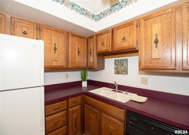 2501 26th Avenue Ct unit 1K, Rock Island, IL 61201 - photo 7