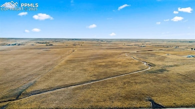 3945 J D Johnson Rd, Peyton, CO 80831 - photo 4