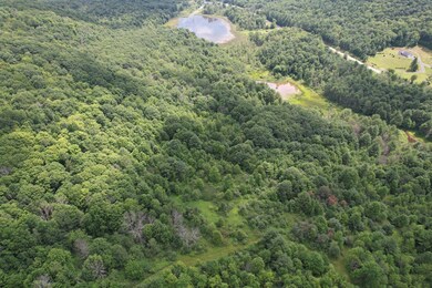 0 Greenbush Rd unit Held - 12 11557762, Erin, NY 14838 - photo 3