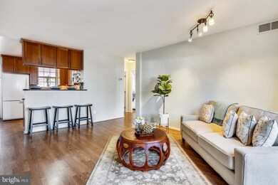 2641 S Walter Reed Dr unit C, Arlington, VA 22206 - photo 7