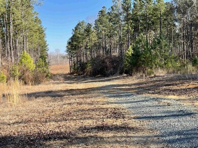 327 Adolph Taylor Rd, Pittsboro, NC 27312 - photo 5