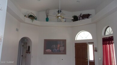 Plant Shelves