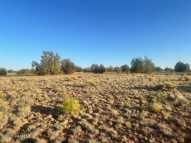 349sw Rocky Top Rd, Seligman, AZ 86337 - photo 4