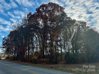 000 Potter Rd, Monroe, NC 28110 - photo 5