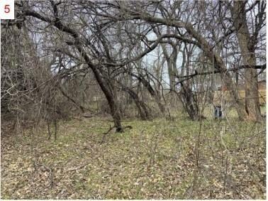 TBD Lot 5 Phillips Dr, Azle, TX 76020 - photo 5