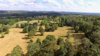 0 Farm Road 2100, Jenkins Township, MO 65605 - photo 4