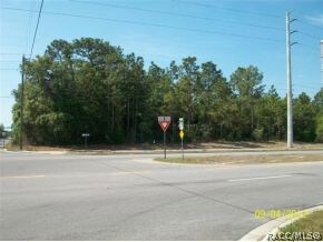 1990 E Norvell Bryant Hwy, Hernando, FL 34442 - photo 4