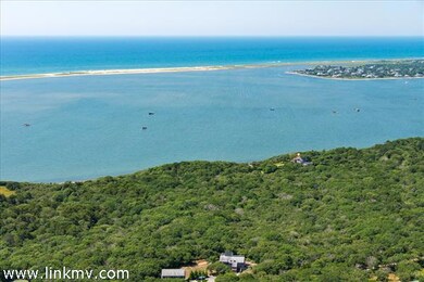 37 Jeremiah Rd, Edgartown, MA 02539 - photo 4