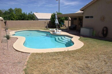 backyard2