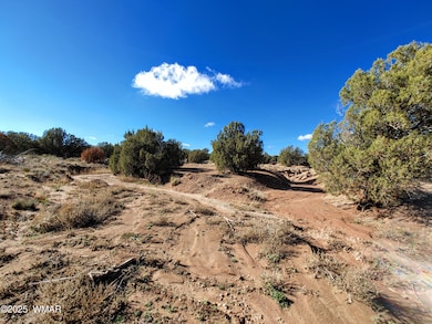 Parcel 2 W Shumway Rd, Taylor, AZ 85901 - photo 7